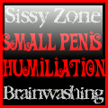 small penis humiliation